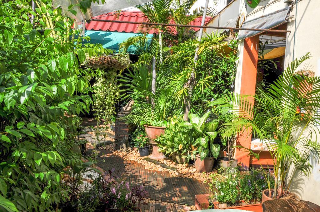 All In 1 Guesthouse Chiang Mai Ngoại thất bức ảnh