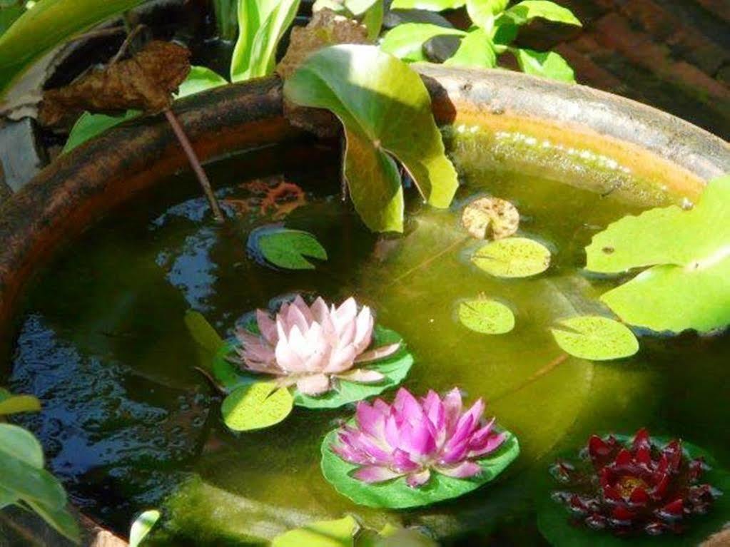 All In 1 Guesthouse Chiang Mai Ngoại thất bức ảnh