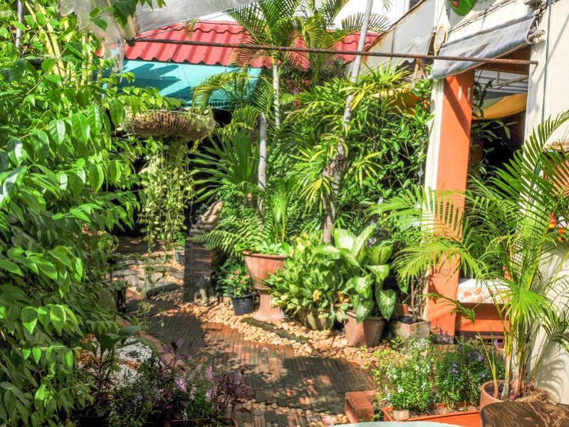 All In 1 Guesthouse Chiang Mai Ngoại thất bức ảnh